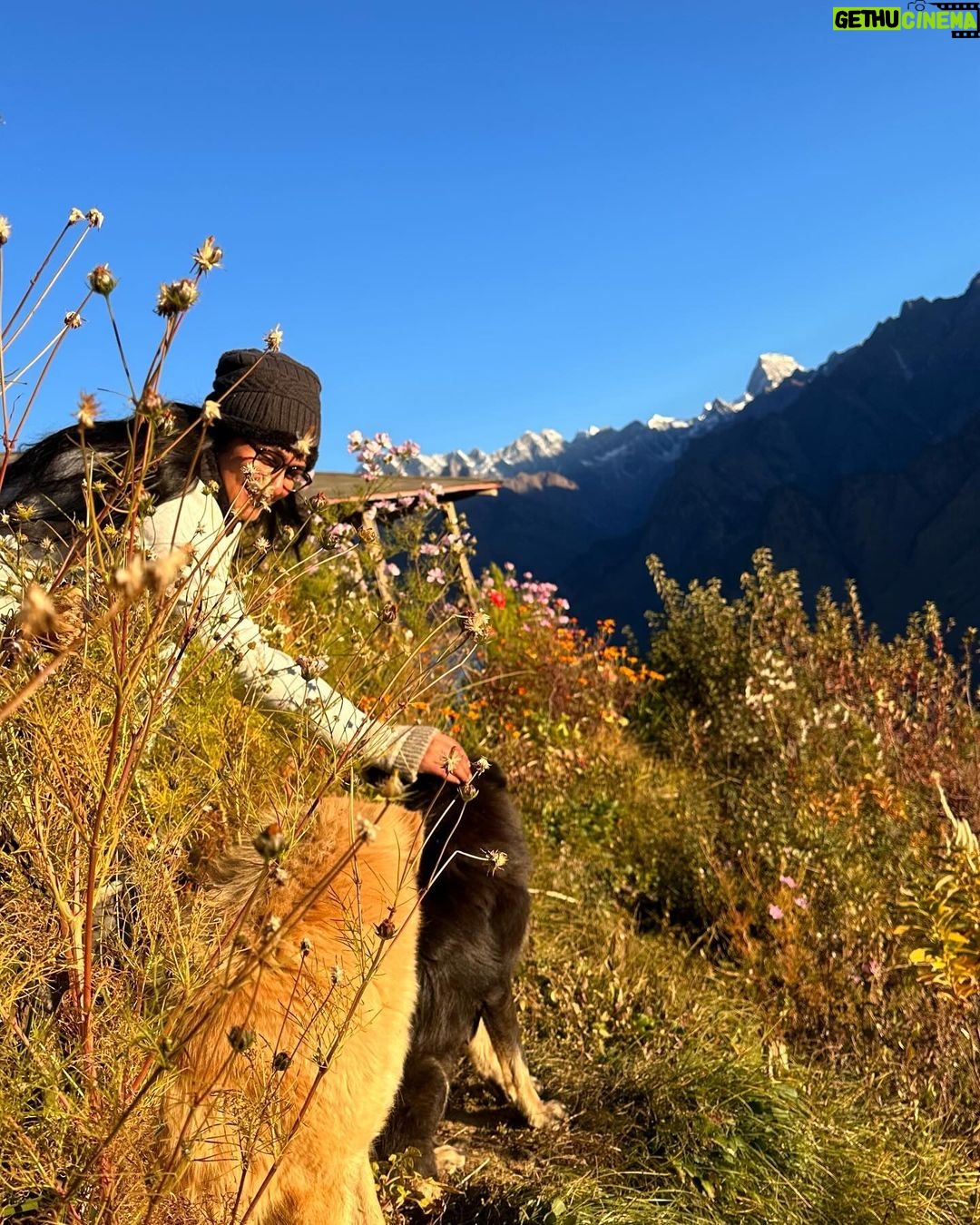 Kavitha Nair Instagram - A lady and two mountain dogs , happy and silly ♥️ Gorson Bugyal