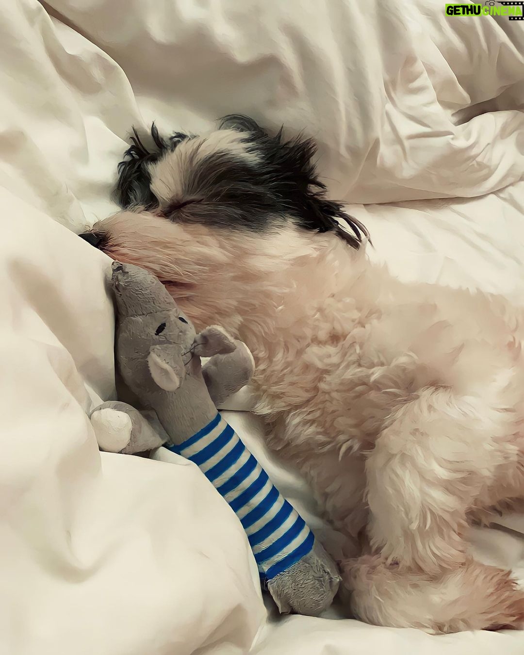 Khushi Kapoor Instagram - Panda clearly did not want be woken up today🥺