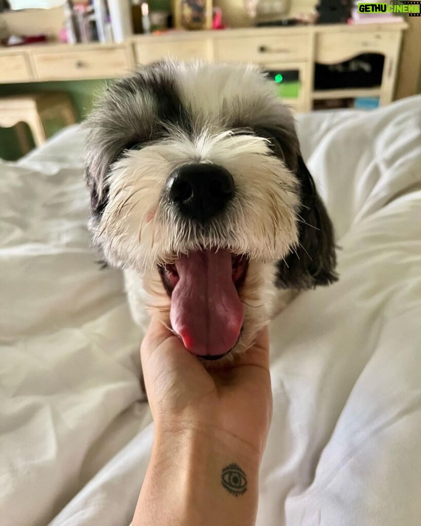 Khushi Kapoor Instagram - Panda clearly did not want be woken up today🥺