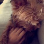Khushi Kapoor Instagram - My partner for life. I love you always❤️ Rest easy
