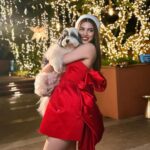Khushi Kapoor Instagram - All I want for Christmas is cuddles🤍🐶🎄