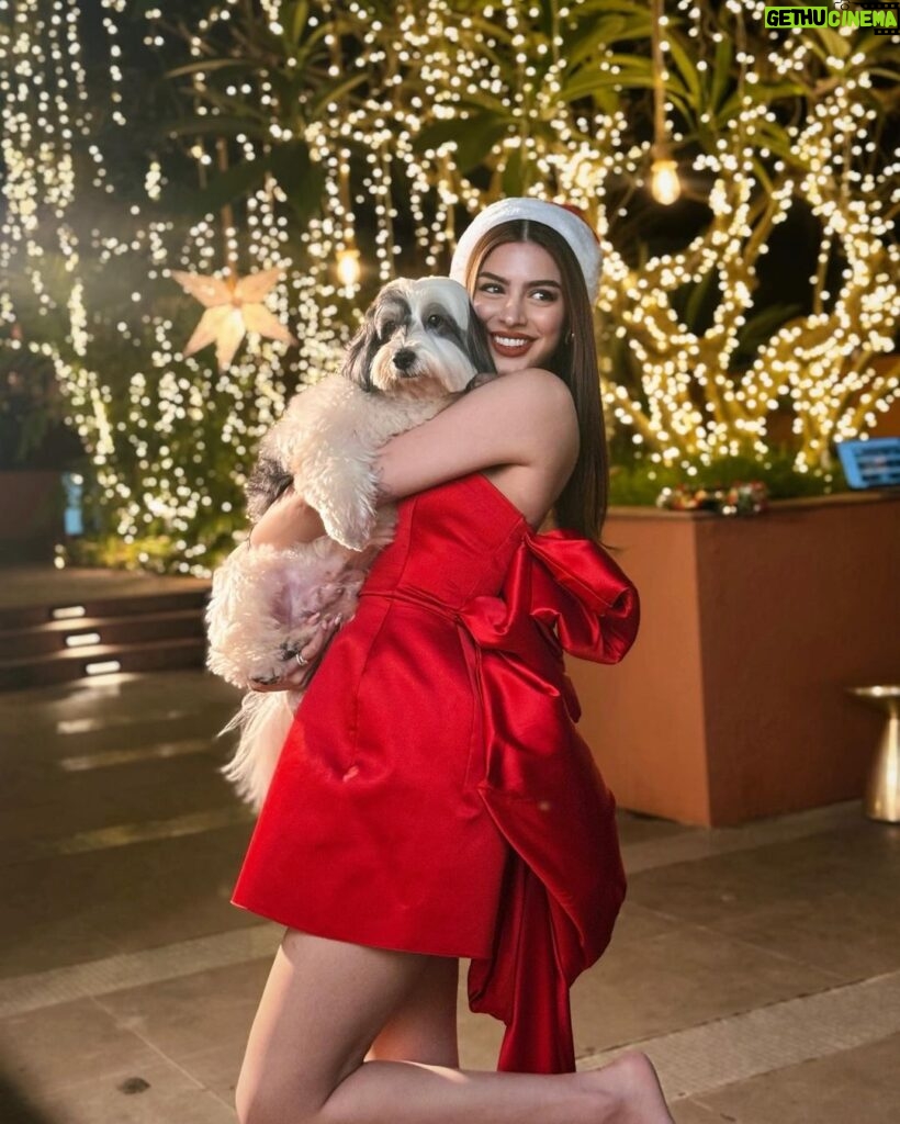 Khushi Kapoor Instagram - All I want for Christmas is cuddles🤍🐶🎄