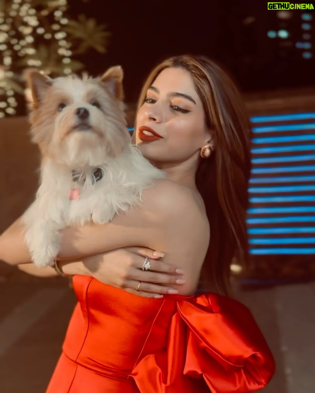 Khushi Kapoor - 288.8K Likes - All I want for Christmas is cuddles🤍🐶🎄
