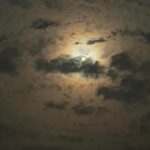 Kinjal Rajpriya Instagram - વર્ષ ૨૦૨૩ની છેલ્લી પુનમ કચ્છના ‘The White Dessert’ માં માણી. ફોટોગ્રાફીની વાત આવે તો ‘ચંદ્ર’ મારો પ્રિય વેષય છે 🤍 આજે, ચંદ્રના પ્રકાશમાં આખી ધરતીને ચમક્તા જોઇ ✨ અહીં વિતાવેલી શાંત અને શિતળ ક્ષણો કદી નઇ વિસરાય 🤌 આપણા ગુજરાતની ધરતીને સત સત નમન 🙏 #Kutch #Gujarat #India #December2023