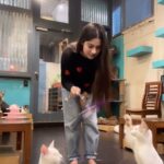 Krishna Mukherjee Instagram – My favourite place to go 🥰 
@catcafestudio Cat Café Studio