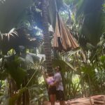 Krishna Mukherjee Instagram - Green or blue, there is no where I would go without you… cause your my apple pie ❤️ Vallée de Mai