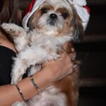 Krissann Barretto Instagram - Merry Christmas 🎄♥️⛄️🍾🎂 #christmas #finallyhome #love #family #home #lights #happy #doggo #dogmom #love #blessed #grateful #thankyou
