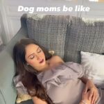 Krissann Barretto Instagram - Every pet parent can relate ♥️ #dogmom #doglover #babies #best #dogsofinstagram #dogs #puppies #doggos #reelsinstagram #reelitfeelit #reelsvideo #trendingreels #trending #video #viral