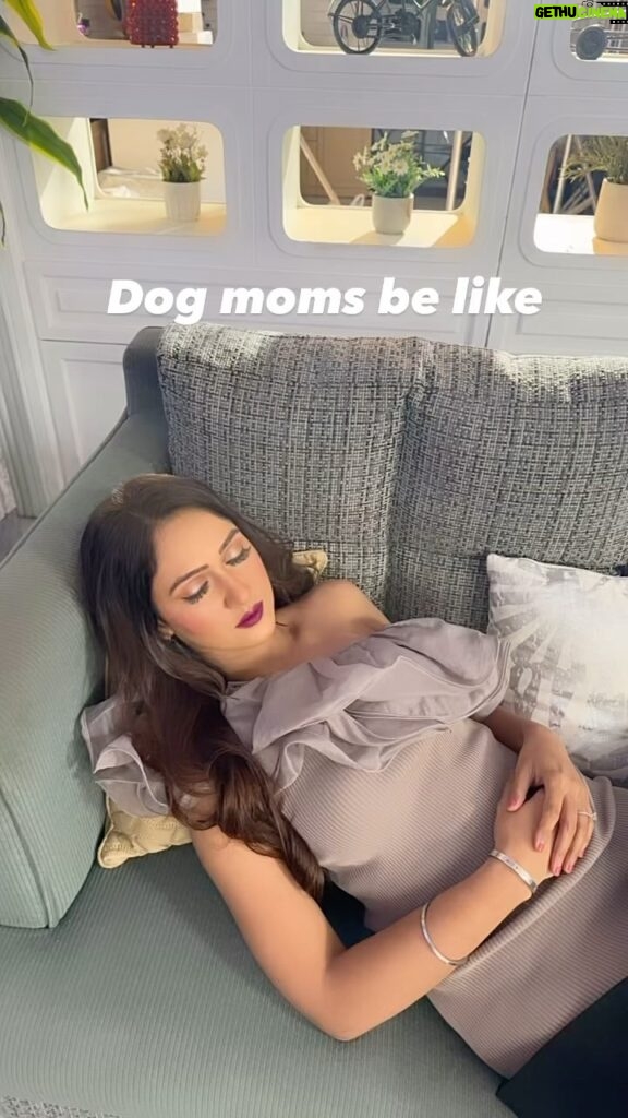 Krissann Barretto Instagram - Every pet parent can relate ♥️ #dogmom #doglover #babies #best #dogsofinstagram #dogs #puppies #doggos #reelsinstagram #reelitfeelit #reelsvideo #trendingreels #trending #video #viral