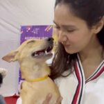 Krissann Barretto Instagram – I wish I could adopt all these little angels ♥️
@worldforallanimaladoptions you guys are amazing for doing this ♥️ you make my heart happy ♥️

If you or anyone you know can foster or adopt any of these little ones or even go see them it’s happening today too at St. Theresas High School in Bandra! 

If you cannot make it for the event but still want to foster or adopt a pet please DM @worldforallanimaladoptions 

#adopt #foster #pet #angels #adoptathon #babies #socute #inlove #angels #video St. Theresa’s Boys High School, Bandra