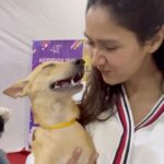 Krissann Barretto Instagram - I wish I could adopt all these little angels ♥️ @worldforallanimaladoptions you guys are amazing for doing this ♥️ you make my heart happy ♥️ If you or anyone you know can foster or adopt any of these little ones or even go see them it’s happening today too at St. Theresas High School in Bandra! If you cannot make it for the event but still want to foster or adopt a pet please DM @worldforallanimaladoptions #adopt #foster #pet #angels #adoptathon #babies #socute #inlove #angels #video St. Theresa's Boys High School, Bandra