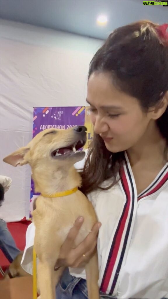 Krissann Barretto Instagram - I wish I could adopt all these little angels ♥️ @worldforallanimaladoptions you guys are amazing for doing this ♥️ you make my heart happy ♥️ If you or anyone you know can foster or adopt any of these little ones or even go see them it’s happening today too at St. Theresas High School in Bandra! If you cannot make it for the event but still want to foster or adopt a pet please DM @worldforallanimaladoptions #adopt #foster #pet #angels #adoptathon #babies #socute #inlove #angels #video St. Theresa's Boys High School, Bandra
