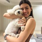 Kriti Sanon Instagram - My lil munchkin turned 7!!! 🐶🥳😍 Happiest Birthday my Disco, my handsome little brat! ❤️ #PuppyLove