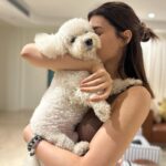 Kriti Sanon Instagram - My lil munchkin turned 7!!! 🐶🥳😍 Happiest Birthday my Disco, my handsome little brat! ❤️ #PuppyLove