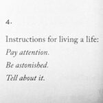 Kritika Kamra Instagram - Sometimes ~ Mary Oliver