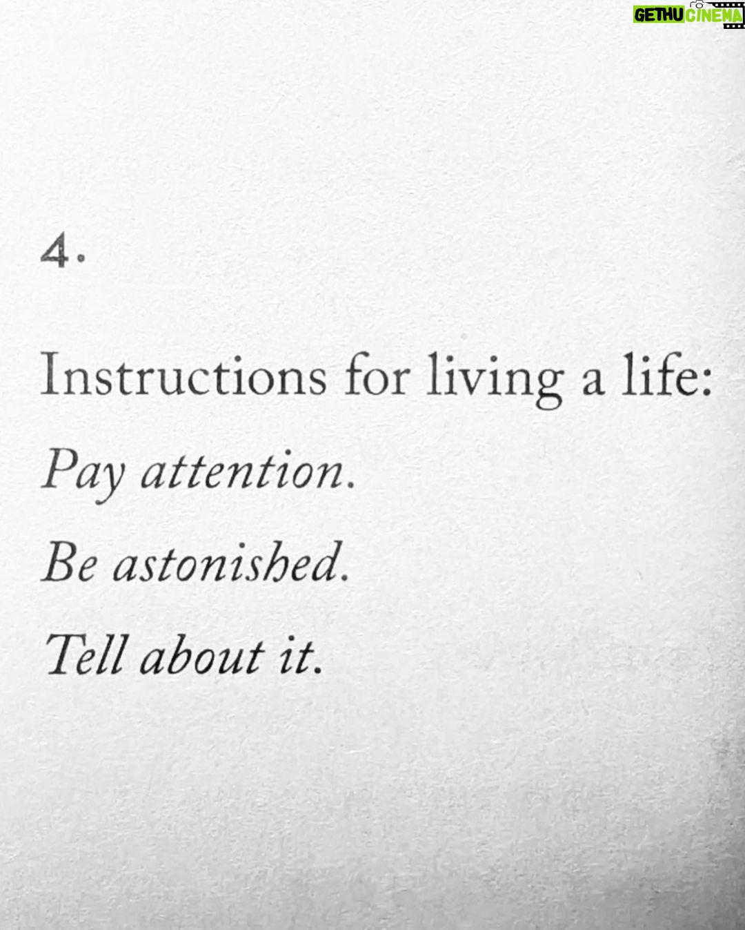 Kritika Kamra Instagram - Sometimes ~ Mary Oliver