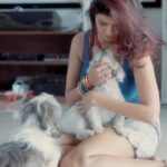 Lakshmi Manchu Instagram - Home, where tails wag and hearts soar in pawfect harmony!🐾❤️