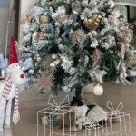 Lara Dutta Instagram - The week that was…………