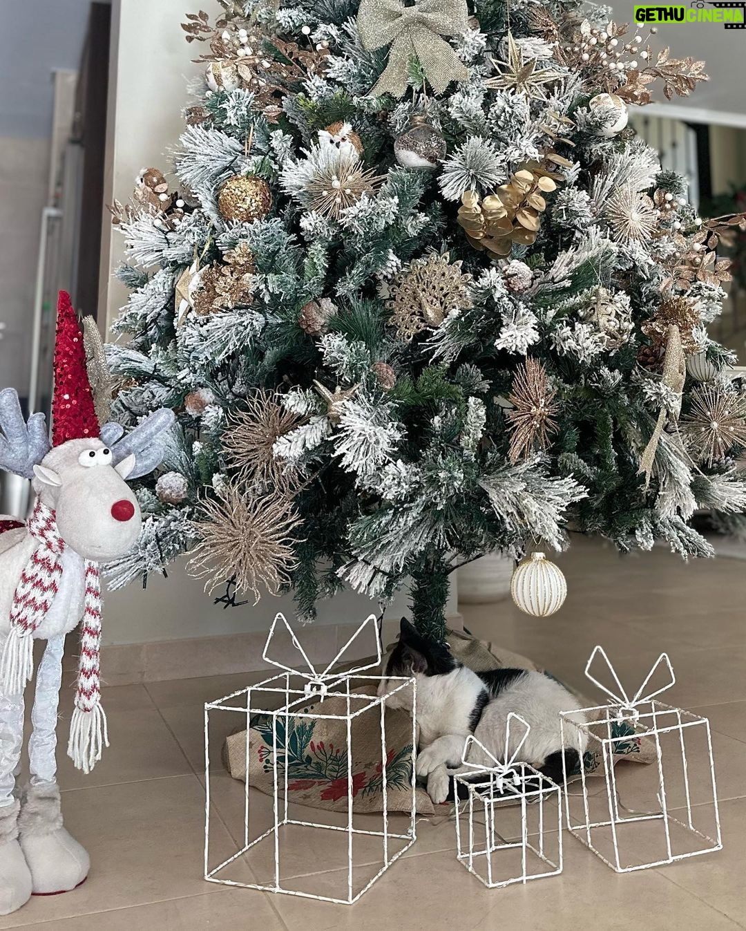 Lara Dutta Instagram - The week that was…………