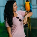 Lavanyaa Instagram - 💙💛💙 #macaw #macaws #summer #bird #birds #lavanya #parayuvaan #malayalamsongs #exotic #peace #ipl #tamilcinema #tamilactress #ooty #wander #happiness #ootd #tamilsong #girl #photooftheday #instagood #photography #naturephotography #travelphotography #sunset #instadaily #healthyfood #travel #beauty #fitness Mettupalayam