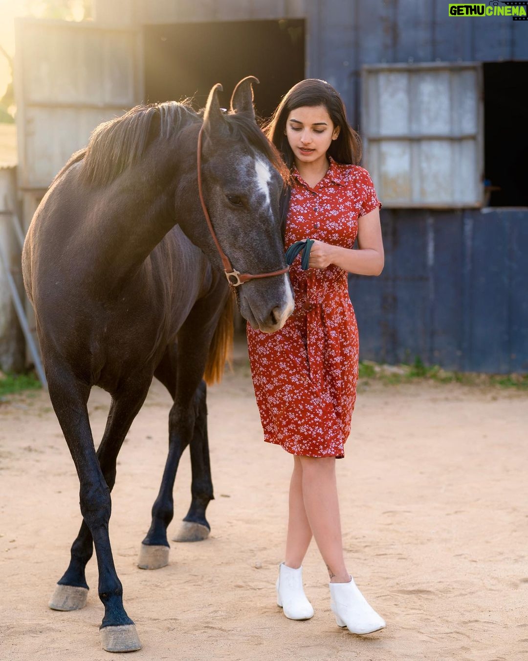 Lavanyaa Instagram - If you don’t believe they have souls, you haven’t looked into their eyes long enough 🐴. 📸 @kanyamedia 🐎 @cliffdomicile #lavanya #tamil #tamilponnu #tamilcinema #tamilsongs #horse #horselove #horses #munnar #kerala #idukki #kolukkumalai #ootd #outfitoftheday #love #red #reddress #rose #sunset #photography #animals #heels #reels #ride #mullai #winter #anime #photooftheday #naturephotography #instagood Munnar