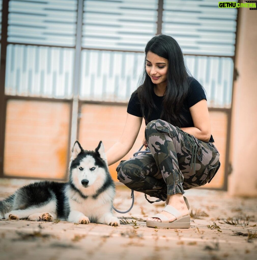 Lavanyaa Instagram - Be there for others, but never leave yourself behind. PC: @kanyamedia #lavanya #lavanyaa #tamilponnu #tamil #tamilcinema #tamilsongs #kollywood #kollywoodcinema #tamilserial #bts #huskey #doglover #doglovers #petlovers #petsofinstagram #puppies #camouflage #black #love #vijaytv #pandianstores #mullai #chennai #lifestyle #helpothers #sunset #summer #girl #instafashion #fashionblogger Bangalore, India