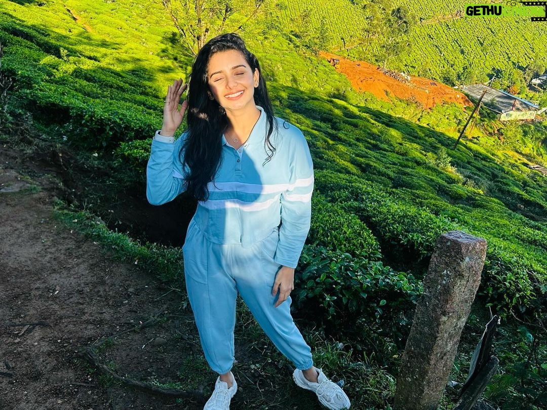 Lavanyaa Instagram - Believe in what you prayed for. #birthday #birthdaygirl #birthdayvibes #birthdaymorning #trecking #muunar #trip #friends #family#love #munar #kolukkumalai #hills #favorite #kolukkumalaipeak Kolukkumalai Peak