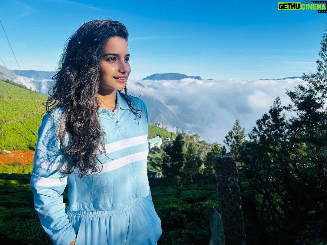 Lavanyaa Instagram - Believe in what you prayed for. #birthday #birthdaygirl #birthdayvibes #birthdaymorning #trecking #muunar #trip #friends #family#love #munar #kolukkumalai #hills #favorite #kolukkumalaipeak Kolukkumalai Peak