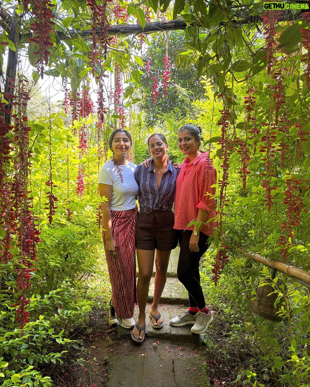 Eve's Lakeside Escape: Tranquil Cabins Amidst Nature's Embrace