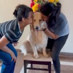 Lipi Mohapatra Instagram - Kisses Overloaded 😍🥰 #kiss #goldenretrievers #love #loveislove🌈 #retriever #retrieveroftheday #golden #furryfriends #pet #petlove #trending #trendingreels #animals #animalsofinstagram #viral #viralvideos #liketkit Gurugram