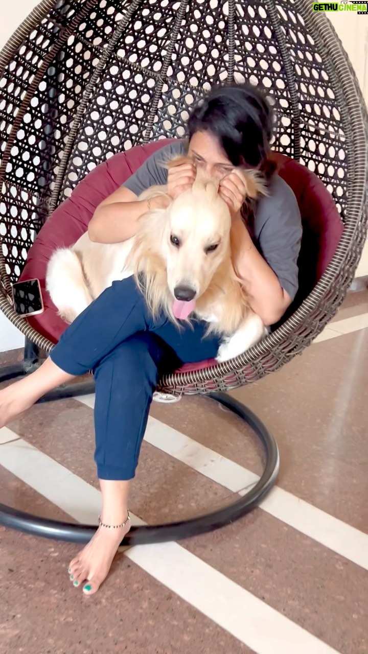 Lipi Mohapatra Instagram - My best friend has four paws ๐พ๐พ #bestfriend #goldenretrievers #retriever #retrieveroftheday #love #loveyou #pet #petlove #animallovers #lovedogs #trending #trendingsongs #viralvideos #like #instalike #furry @mesmerizing_barfi @lipi_mohapatra Gurugram