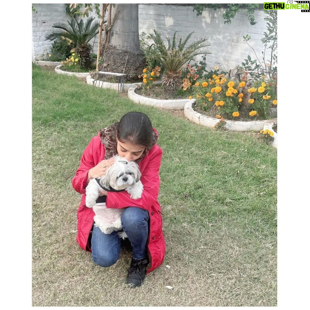 Loveleen Kaur Sasan Instagram - The world would be a nicer place if everyone had the ability to love as unconditionally as a dog. @jimmy_fluffy_sasan ♥️🧿♥️ Jammu City, J&K