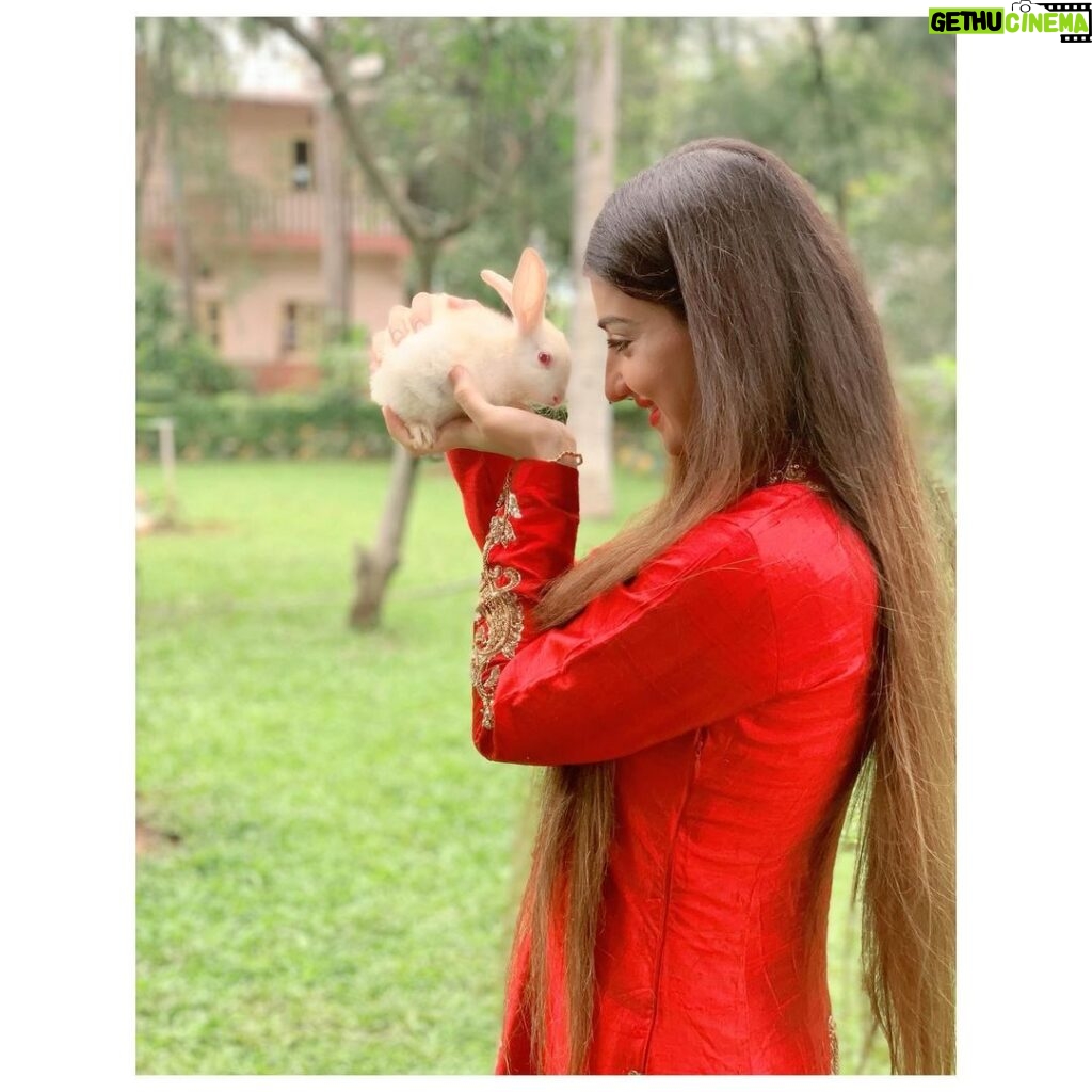 Loveleen Kaur Sasan Instagram - 🐰