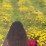 Madhumitha H Instagram - Smiles ✨❤️🌻🌼 #smile #love #happiness #flowers #candid #tamil #tamilreels #trending
