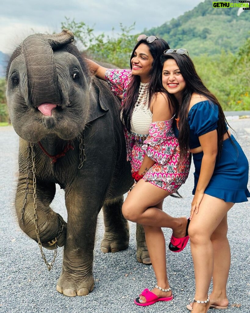 Madhumitha H Instagram - So here it comes! I agreed to the whole trip for this kutty @madhumitha.h_official. She is a beach gurl and i am a mountain wala 😉 and i lov animals. So i had an agreement with her to show me elephant 😝 but she failed it by mistake and i went mad 😠. So later today she tried harder and harder and took me there somehow but we ran out of cash, she pleaded, managed somehow within the money and i was flaunting ♥️♥️♥️ i even got mad that she didn’t click my pics properly so she asked for retake and clicked me again ♥️♥️♥️ em sorry babieeee and ilovuuu the most♥️♥️ never leaving ur side 🤣 cheers to many of my useless fights kuttieeeee🧿🧿🧿 always with u my pysch Aonang Elephant Sanctuary