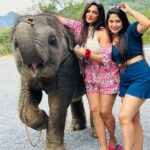 Madhumitha H Instagram – So here it comes! I agreed to the whole trip for this kutty @madhumitha.h_official. She is a beach gurl and i am a mountain wala 😉 and i lov animals. So i had an agreement with her to show me elephant 😝 but she failed it by mistake and i went mad 😠. So later today she tried harder and harder and took me there somehow but we ran out of cash, she pleaded, managed somehow within the money and i was flaunting ♥️♥️♥️ i even got mad that she didn’t click my pics properly so she asked for retake and clicked me again ♥️♥️♥️ em sorry babieeee and ilovuuu the most♥️♥️ never leaving ur side 🤣 cheers to many of my useless fights kuttieeeee🧿🧿🧿 always with u my pysch Aonang Elephant Sanctuary