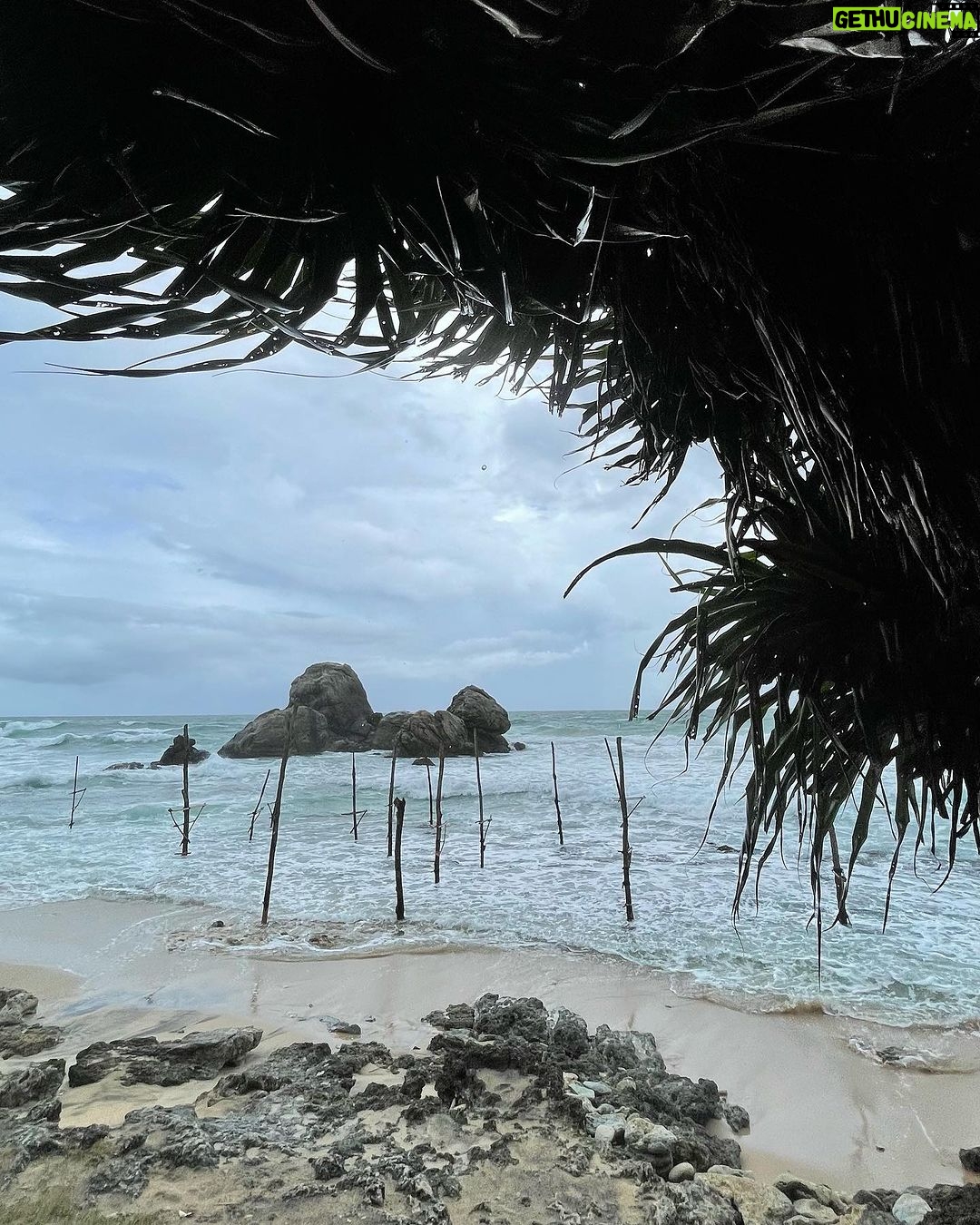 Madhura Naik Instagram - Camera roll dump #srilanka2023