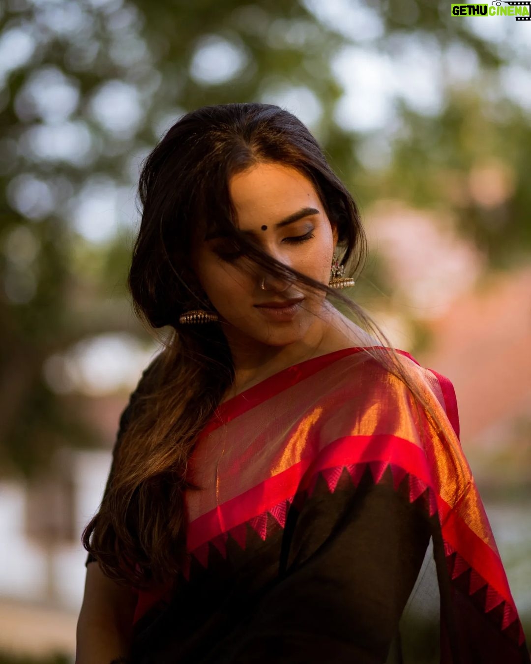 Malavika Jayaram Instagram - தங்கம் @madras_ponnu × @malavika.jayaram #southindianfashion #dakshindiaries #traditions #portrait_ig #portraitsmag #portraitphotography #moodyports #sunkissed #portraitvision #pursuitofportraits #agameofportraits #portraiture #ourmoodydays #portraits_mf #portraits_universe #portraits_life #fatalframes #forbiddenart #portraitmood #indiapictures #sareelove #saree #goldenhour #sunlight