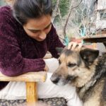 Malavika Jayaram Instagram - Whoever made up that quote, "diamonds are a woman's best friend" never had a dog or a woman. #throwback #manalidiaries #travellergram