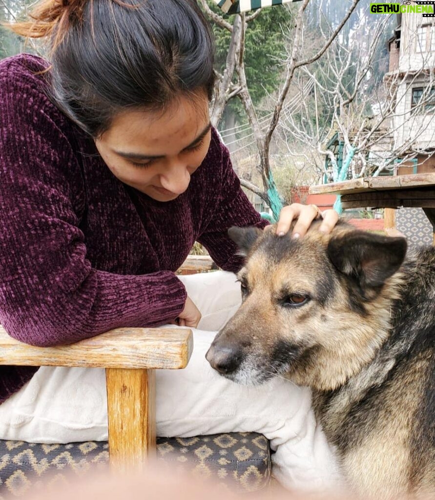 Malavika Jayaram Instagram - Whoever made up that quote, "diamonds are a woman's best friend" never had a dog or a woman. #throwback #manalidiaries #travellergram