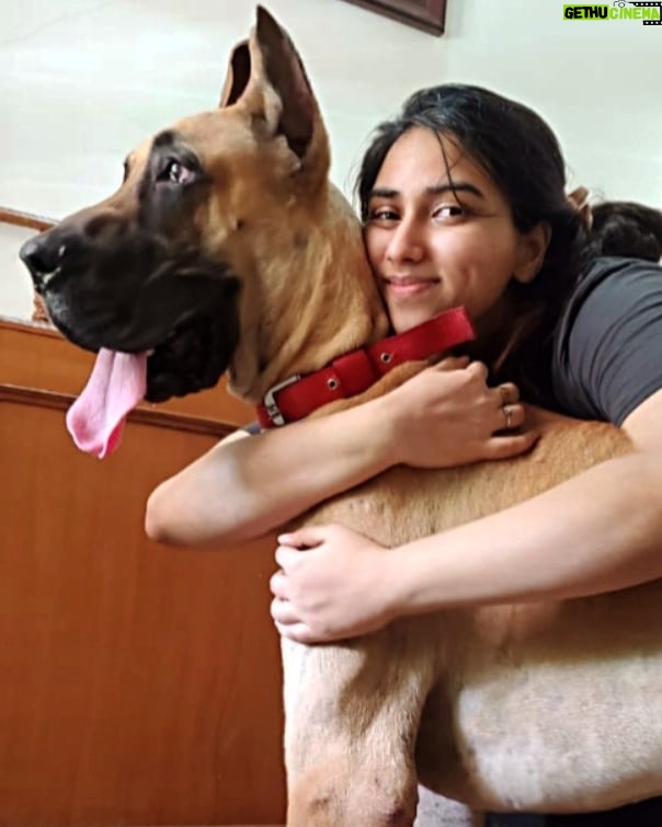 Malavika Jayaram Instagram - Last year our boy BENJI passed away, it was a difficult time for all of us. This little fighter walked into our lives and filled that void. Debuting BUNTY - who just turned one. On that note, keeping our furry friends in mind have a safe and prosperous Diwali. #diwali2020 #stayhome #nocrackersdiwali Chennai, India