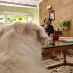 Malavika Jayaram Instagram - 2021 photo dump (is this caption still cool?) Last year gave me a lot of good memories and opportunities and loads to look forward to in #twenty22 , let's just leave it at that ;) #happynewyear #2022