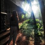 Malavika Jayaram Instagram - 2021 photo dump (is this caption still cool?) Last year gave me a lot of good memories and opportunities and loads to look forward to in #twenty22 , let's just leave it at that ;) #happynewyear #2022