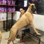 Malavika Jayaram Instagram - My #reallifescoobydoo Chennai, India
