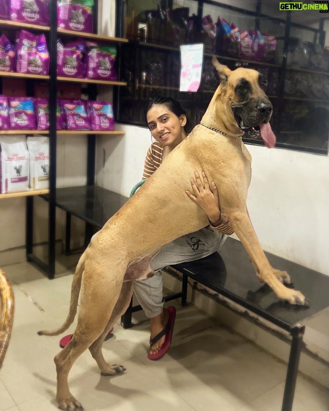 Malavika Jayaram Instagram - My #reallifescoobydoo Chennai, India