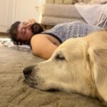 Malavika Jayaram Instagram – It’s taken me a few days to gather the courage to pen this message down, I’ve been in denial.
Thinking of being welcomed back home without your loud bark and your forever wagging tail is making it harder for me to accept your demise. You have been more than just our pet and your absence has left a huge irreparable void in our lives. And someday we’ll meet again on the other side Messa and I promise I’ll never leave you… until then sleep tight my sweet angel. ❤️
– Appa, Amma, Kannan,Little, chakki ❤️ ♾️