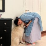 Malavika Jayaram Instagram – It’s taken me a few days to gather the courage to pen this message down, I’ve been in denial.
Thinking of being welcomed back home without your loud bark and your forever wagging tail is making it harder for me to accept your demise. You have been more than just our pet and your absence has left a huge irreparable void in our lives. And someday we’ll meet again on the other side Messa and I promise I’ll never leave you… until then sleep tight my sweet angel. ❤️
– Appa, Amma, Kannan,Little, chakki ❤️ ♾️