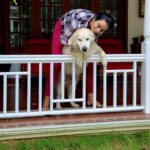 Malavika Jayaram Instagram – It’s taken me a few days to gather the courage to pen this message down, I’ve been in denial.
Thinking of being welcomed back home without your loud bark and your forever wagging tail is making it harder for me to accept your demise. You have been more than just our pet and your absence has left a huge irreparable void in our lives. And someday we’ll meet again on the other side Messa and I promise I’ll never leave you… until then sleep tight my sweet angel. ❤️
– Appa, Amma, Kannan,Little, chakki ❤️ ♾️