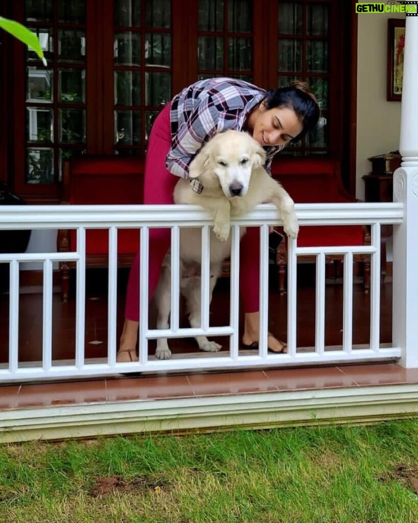 Malavika Jayaram Instagram - It’s taken me a few days to gather the courage to pen this message down, I’ve been in denial. Thinking of being welcomed back home without your loud bark and your forever wagging tail is making it harder for me to accept your demise. You have been more than just our pet and your absence has left a huge irreparable void in our lives. And someday we’ll meet again on the other side Messa and I promise I’ll never leave you… until then sleep tight my sweet angel. ❤️ - Appa, Amma, Kannan,Little, chakki ❤️ ♾️