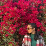 Mamitha Baiju Instagram – Lush, Wild & So full of colours…
She is a bougainvillea!💗
.
PC: @arsha_baiju (paranju idipichath..still i have doubts🤨😂)

#throwback#dubai